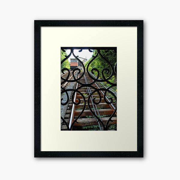 View from the Incline Framed Art Print