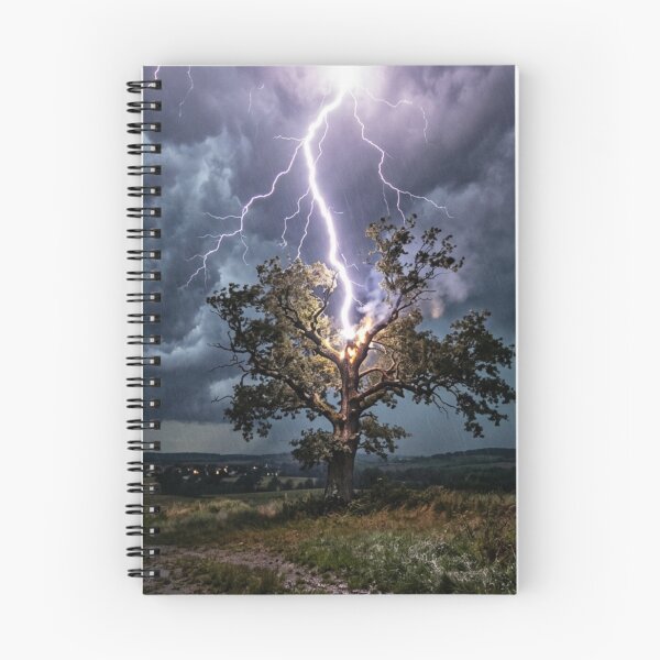 Item preview, Isolated tree struck by lightning designed and sold by Malisa345.