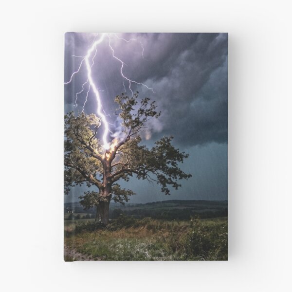 Item preview, Isolated tree struck by lightning designed and sold by Malisa345.
