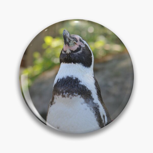 Item preview, Proud Penguin Standing on Rock designed and sold by NataljasPhotos.