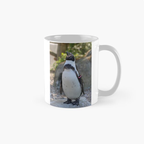Item preview, Proud Penguin Standing on Rock designed and sold by NataljasPhotos.