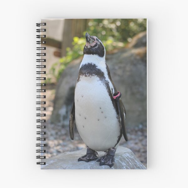 Item preview, Proud Penguin Standing on Rock designed and sold by NataljasPhotos.