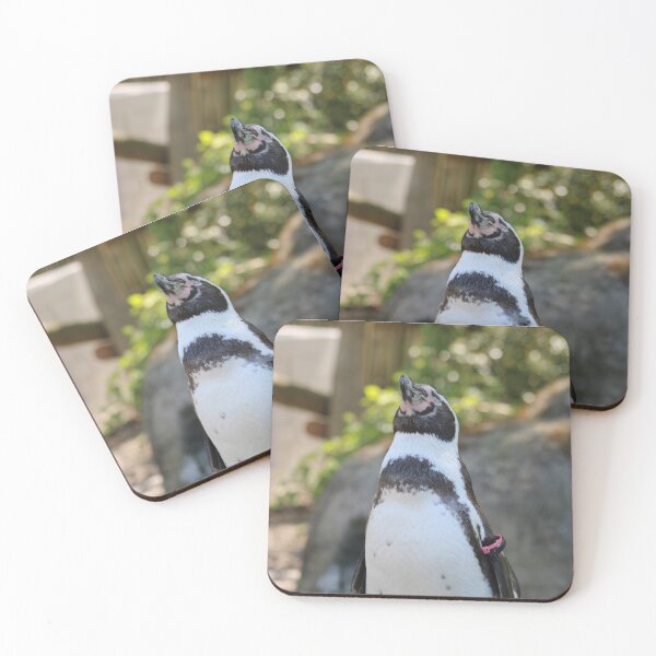 Item preview, Proud Penguin Standing on Rock designed and sold by NataljasPhotos.