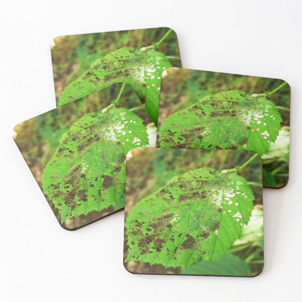 Item preview, Green Leaf Skeleton Botanical Nature Photo designed and sold by Kainicram.