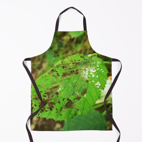 Item preview, Green Leaf Skeleton Botanical Nature Photo designed and sold by Kainicram.
