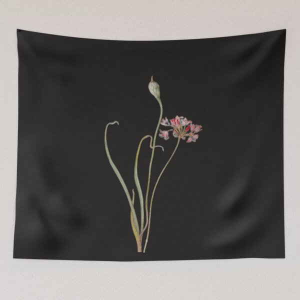 Item preview, Wild Onion Flowers designed and sold by Asok Mukhopadhyay.