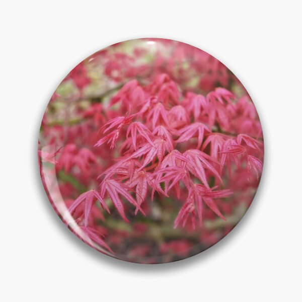 Item preview, Beautiful red leaves of maple tree designed and sold by AsahiNoAme.