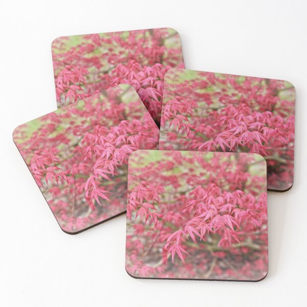 Item preview, Beautiful red leaves of maple tree designed and sold by AsahiNoAme.