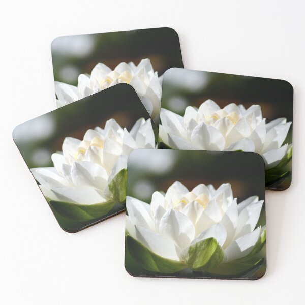 Item preview, sun on a water lily designed and sold by Murph's Images.