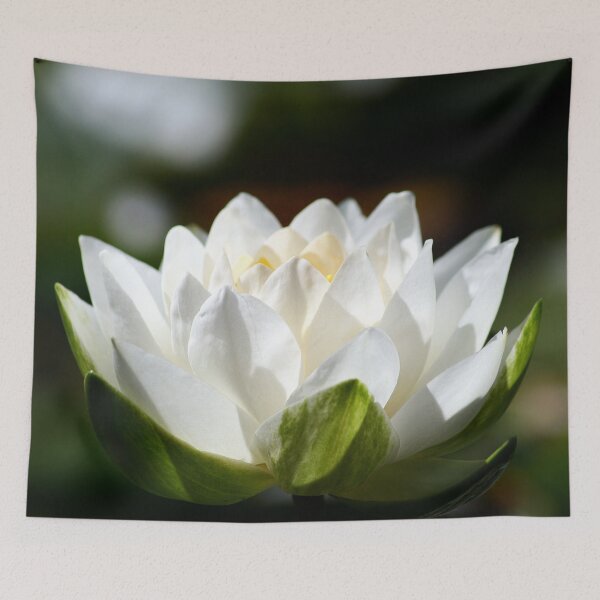 Item preview, sun on a water lily designed and sold by Murph's Images.