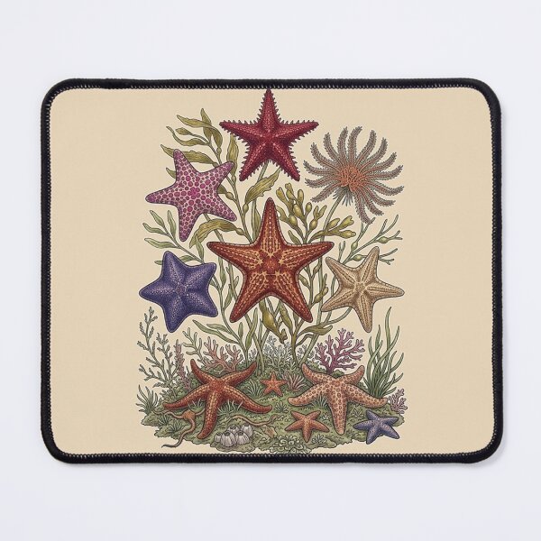 Item preview, Starfish designed and sold by snoWorkshop.
