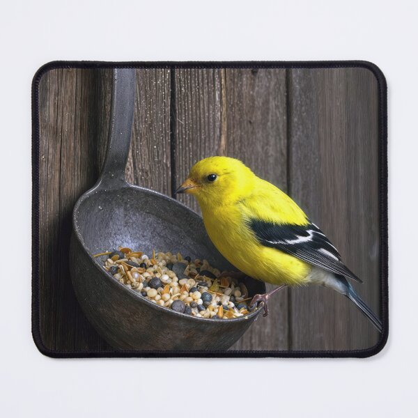 Item preview, Yellow Finch with Birdseed in Old Ladle designed and sold by Maria Dryfhout.