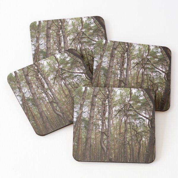 Item preview, Dark Forest Aesthetic designed and sold by annytsuj.