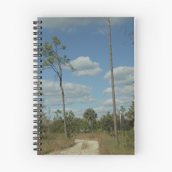 Item preview, Forgotten Adventures on the Gulf Trail designed and sold by MatthewThomasDaniels.