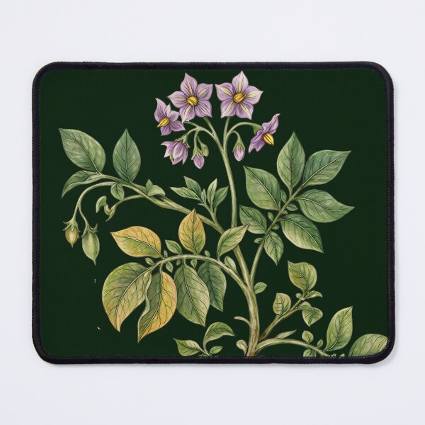 Item preview, Vintage Botanical Potato Plant Harvest Illustration designed and sold by LinaValearte.