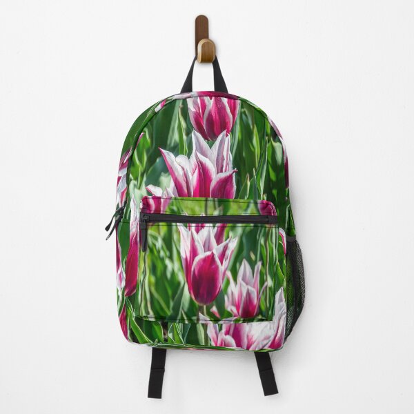Item preview, Claudia Lily-Flowering Tulip designed and sold by JLW Photos.