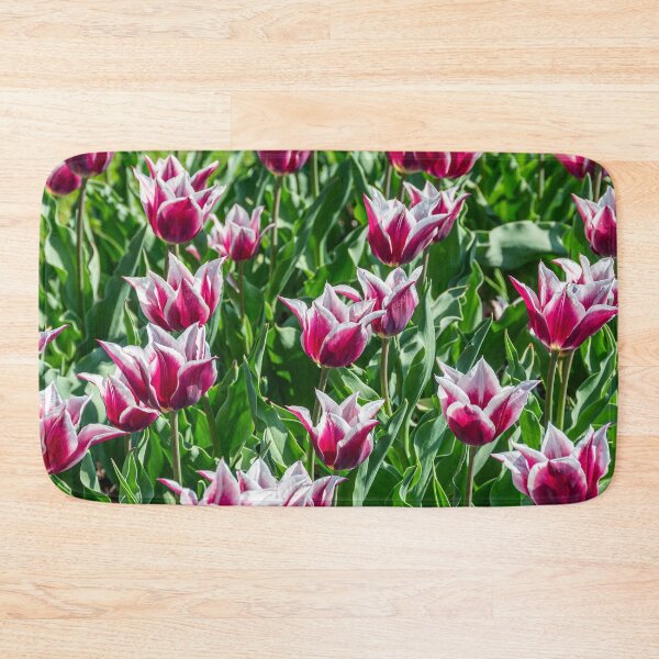 Item preview, Claudia Lily-Flowering Tulip designed and sold by JLW Photos.