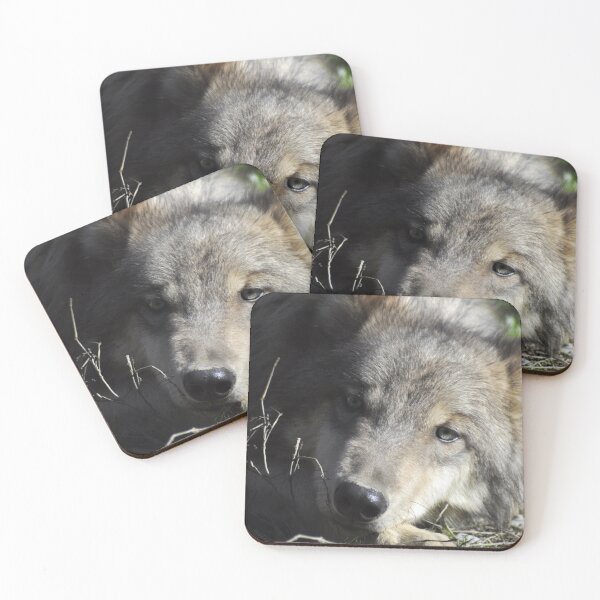 Item preview, Calm wolf designed and sold by Skitt1e.