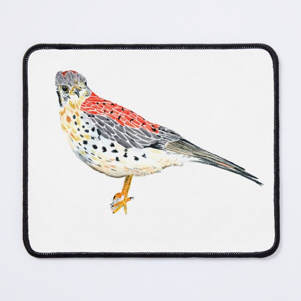 Item preview, American Kestrel Watercolor designed and sold by Sonoran Glimmer.