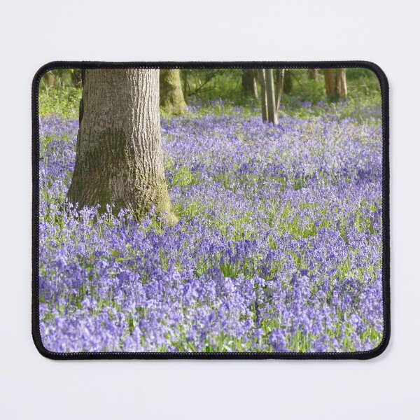 Item preview, Bluebells designed and sold by Chris Petty.