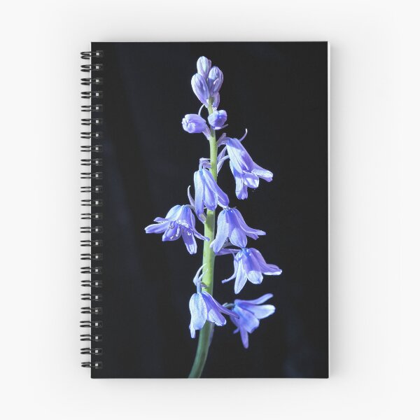 Item preview, Bluebell macro designed and sold by Tom McPherson Photography.