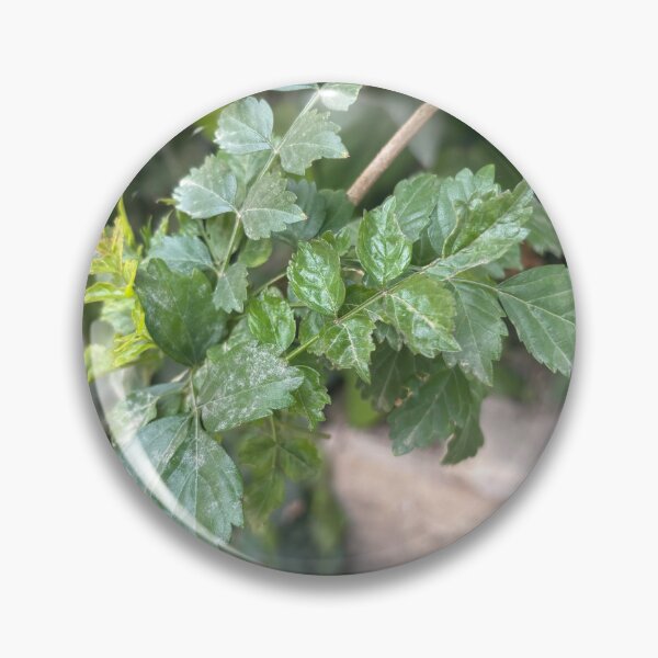 Item preview, Very Leafy  designed and sold by 55synonyms.