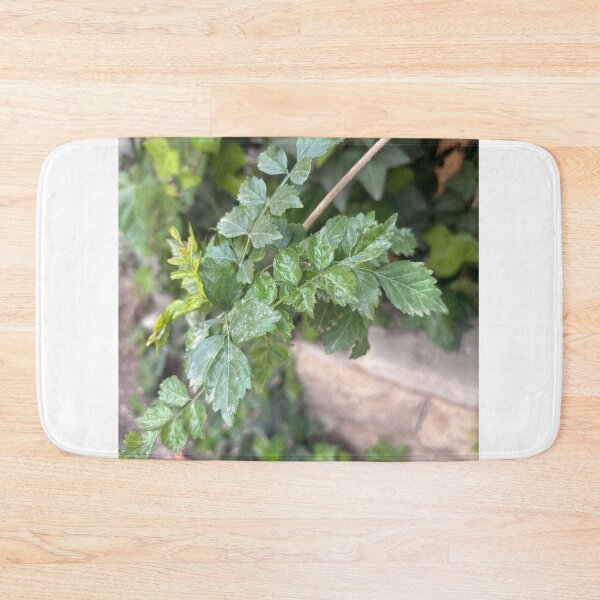 Item preview, Very Leafy  designed and sold by 55synonyms.