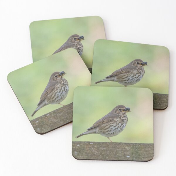 Item preview, Song Thrush designed and sold by LaurenTucker.