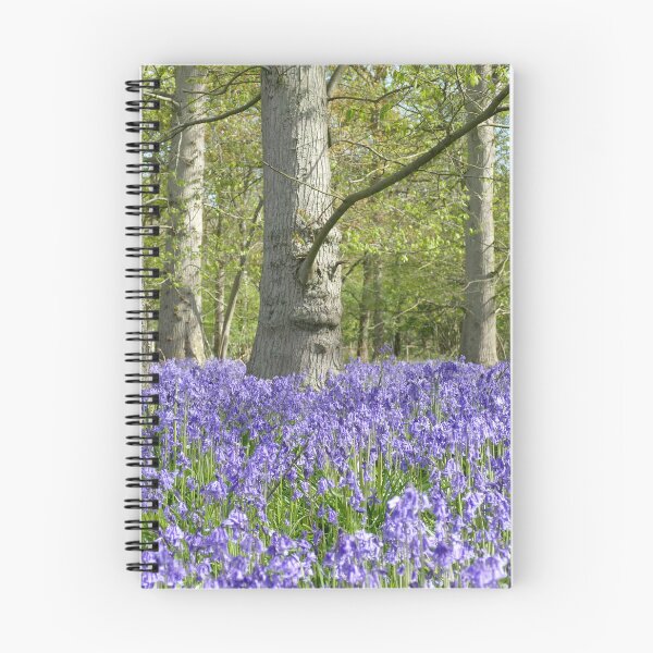 Item preview, Bluebell Woodland designed and sold by Chris Petty.