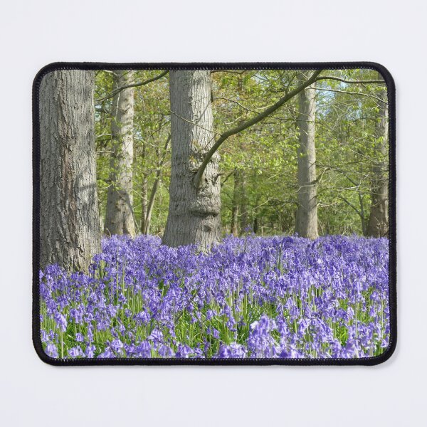 Item preview, Bluebell Woodland designed and sold by Chris Petty.