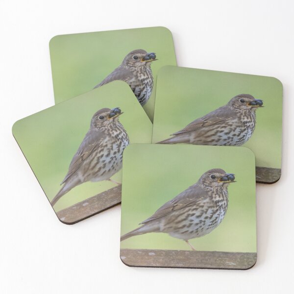 Item preview, Song Thrush designed and sold by LaurenTucker.
