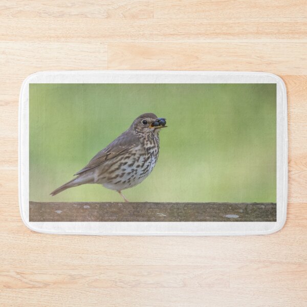 Item preview, Song Thrush designed and sold by LaurenTucker.