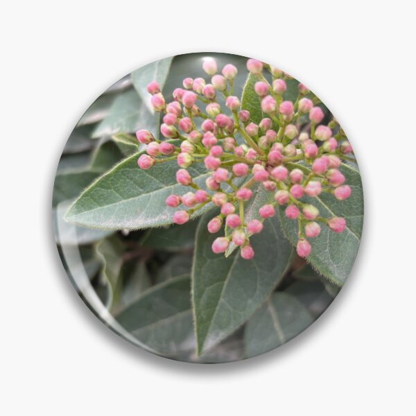 Item preview, Little Buds designed and sold by 55synonyms.