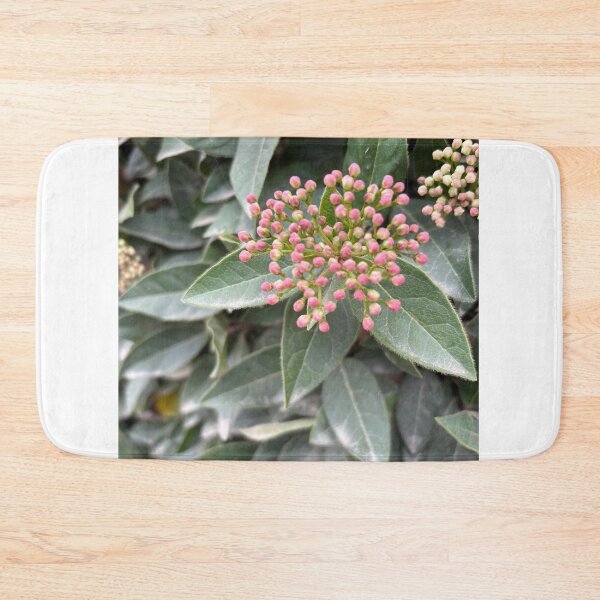 Item preview, Little Buds designed and sold by 55synonyms.