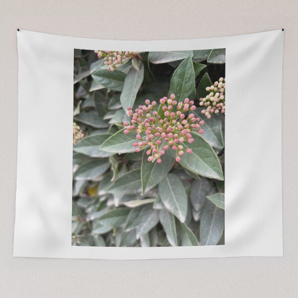 Item preview, Little Buds designed and sold by 55synonyms.