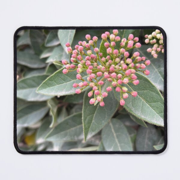 Item preview, Little Buds designed and sold by 55synonyms.