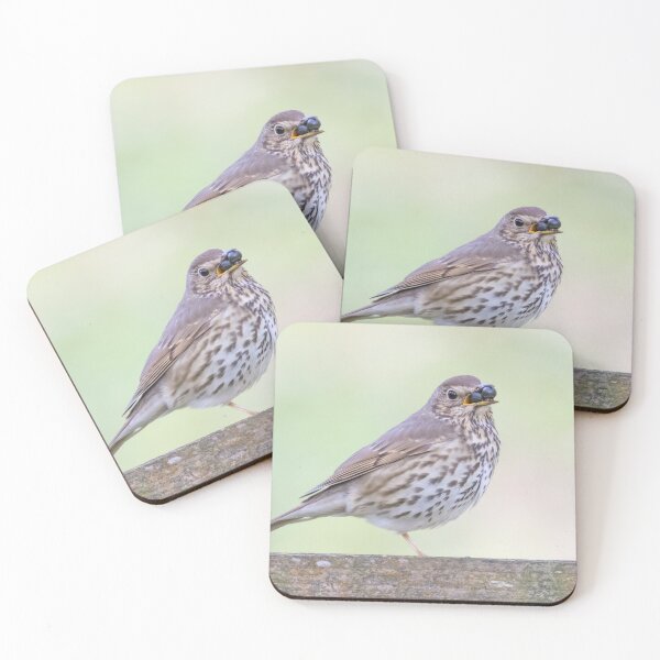 Item preview, Song Thrush designed and sold by LaurenTucker.