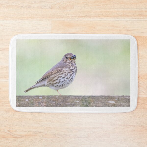 Item preview, Song Thrush designed and sold by LaurenTucker.