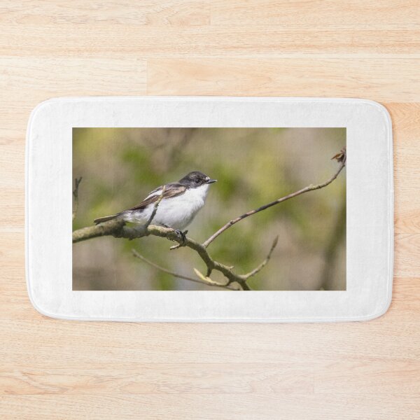 Item preview, European Pied Flycatcher designed and sold by LaurenTucker.