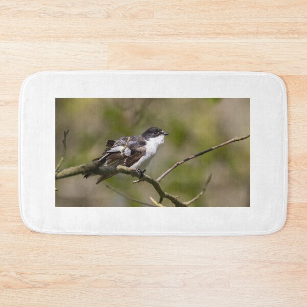 Item preview, European Pied Flycatcher designed and sold by LaurenTucker.