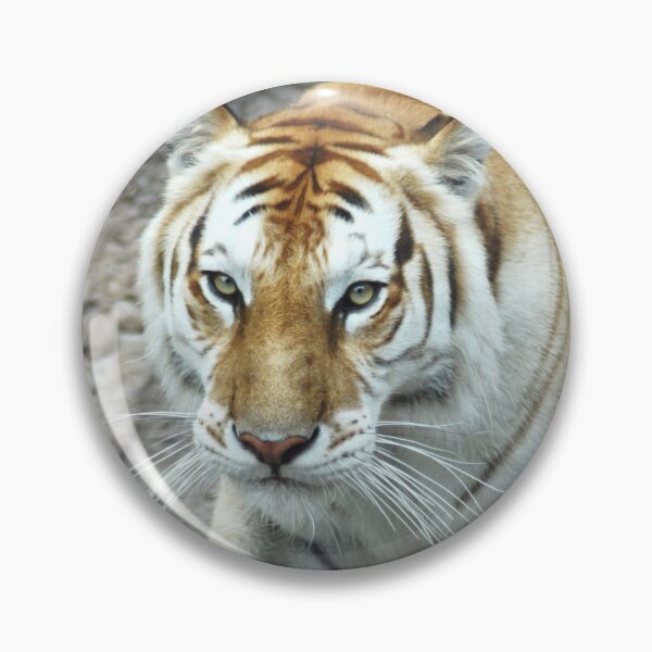 Item preview, Prowling tiger designed and sold by Skitt1e.