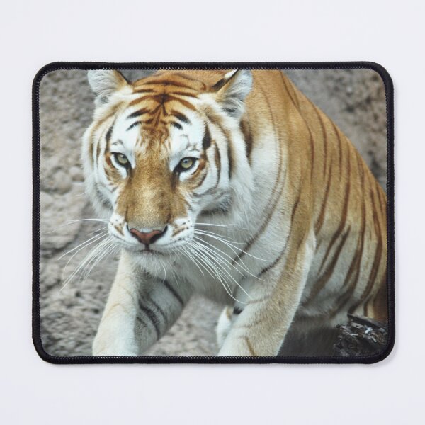 Item preview, Prowling tiger designed and sold by Skitt1e.