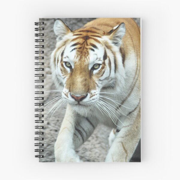 Item preview, Prowling tiger designed and sold by Skitt1e.