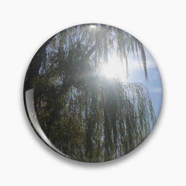 Item preview, Willow tree sunshine, REAL photograph  designed and sold by GiSilver.
