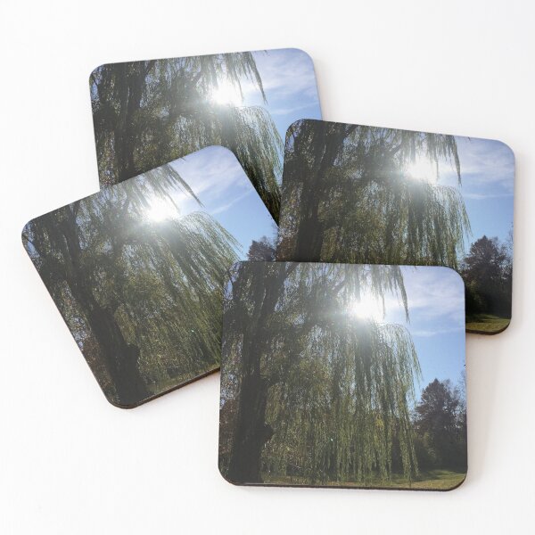 Item preview, Willow tree sunshine, REAL photograph  designed and sold by GiSilver.