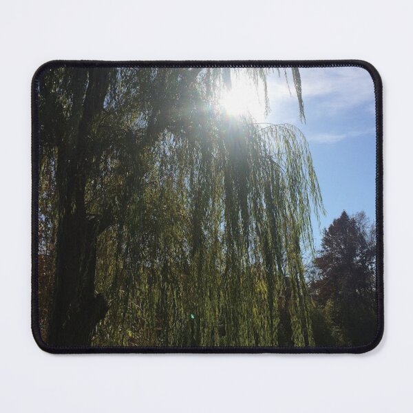 Item preview, Willow tree sunshine, REAL photograph designed and sold by GiSilver.