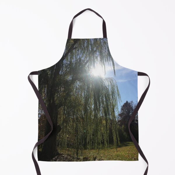 Item preview, Willow tree sunshine, REAL photograph designed and sold by GiSilver.