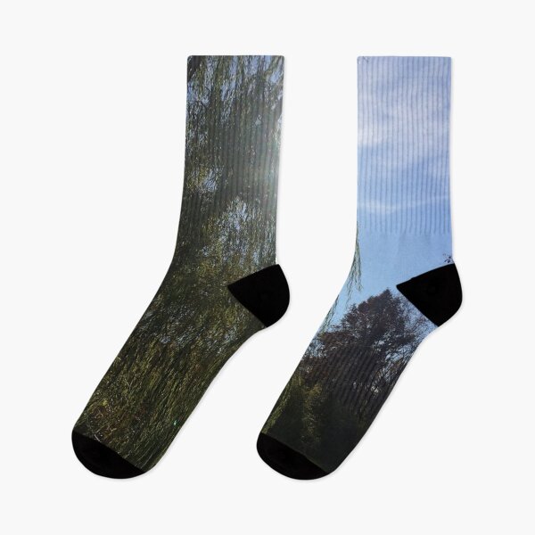 Item preview, Willow tree sunshine, REAL photograph  designed and sold by GiSilver.