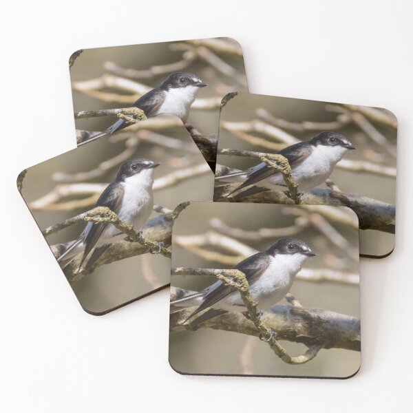 Item preview, European Pied Flycatcher designed and sold by LaurenTucker.