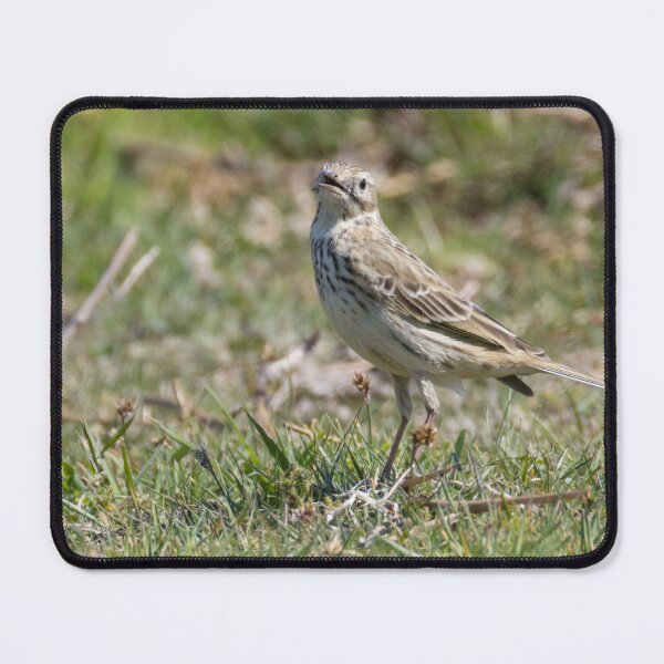 Item preview, Tree Pipit designed and sold by LaurenTucker.